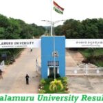 Palamuru University Results