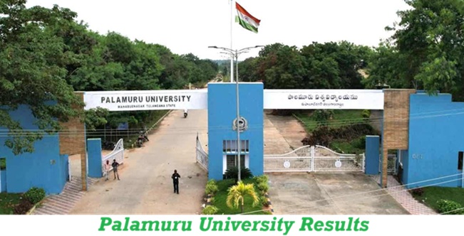Palamuru University Results