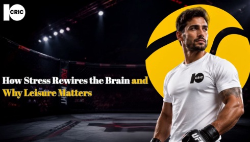 How Stress Rewires the Brain and Why Leisure Matters